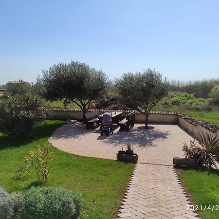 Villa Parenzo Poreč Exterior foto